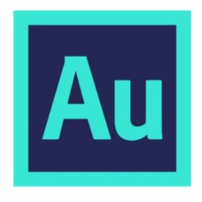 Adobe Audition for teams-Multiple Platforms Multi Asian Languages License (1 user 1 year) 